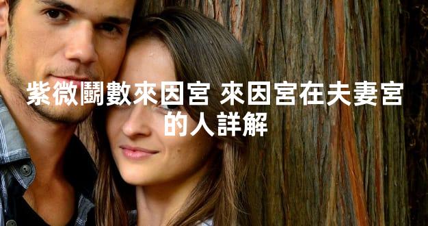 紫微鬭數來因宮 來因宮在夫妻宮的人詳解